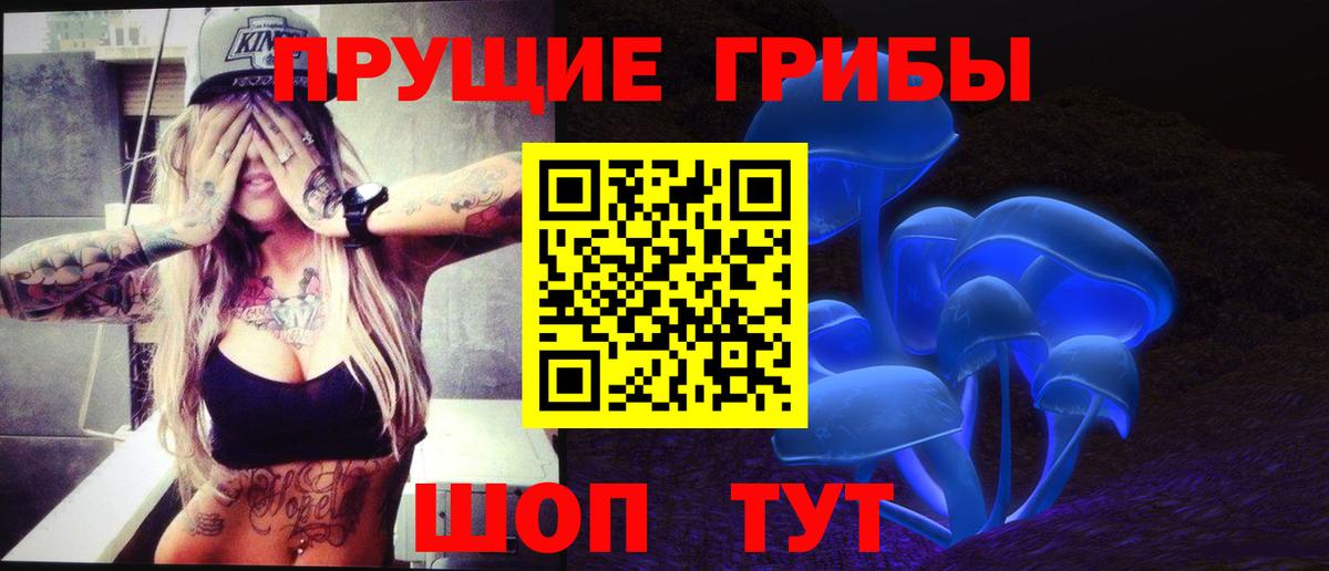 Псилоцибиновые грибы мицелий Кимры